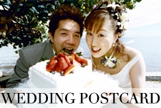WeddingPostcardTitle.jpg
